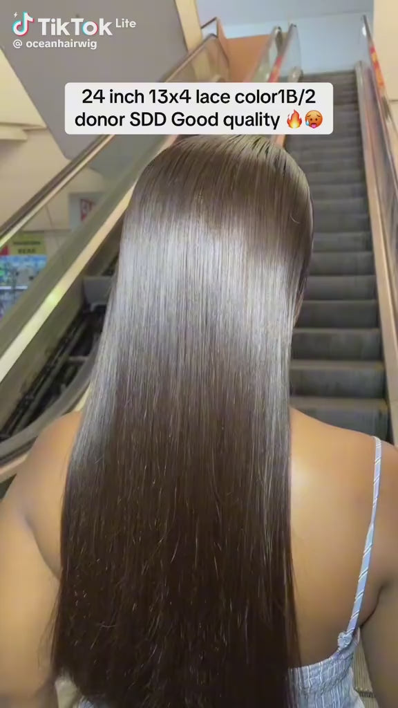 Ocean Hair Vietnamese Donor Straight Dark Black Wig 13x4 SDD 24 Inch